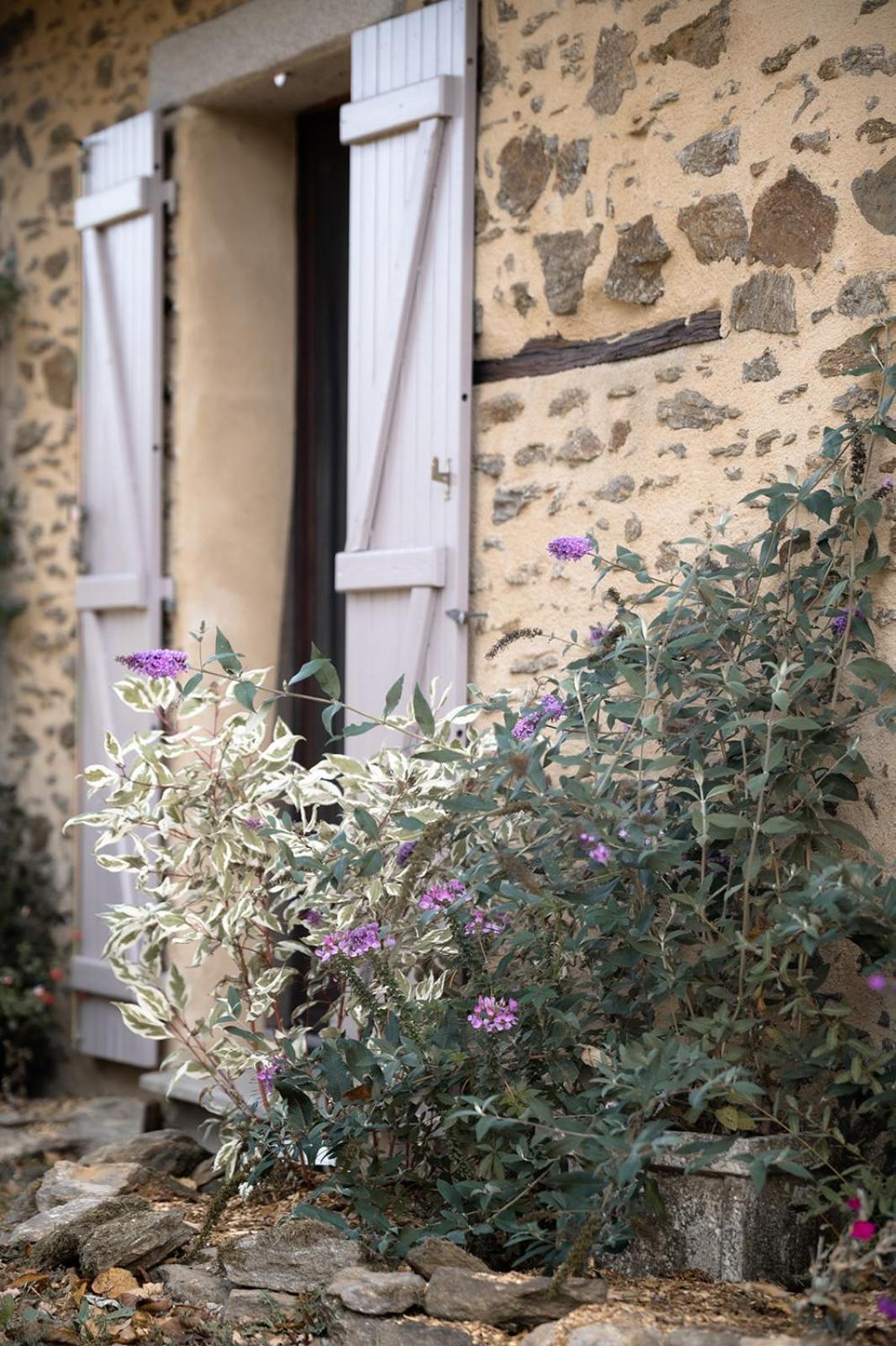 Domaine Abbey-Rose Hotel Champsac Kültér fotó